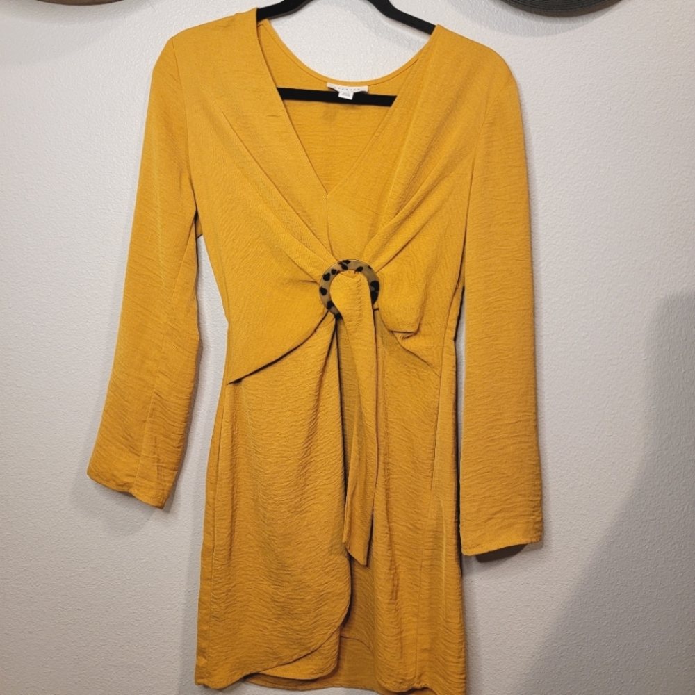 TopShop Dress
